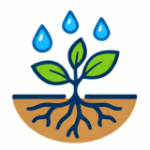 Здоровье растений